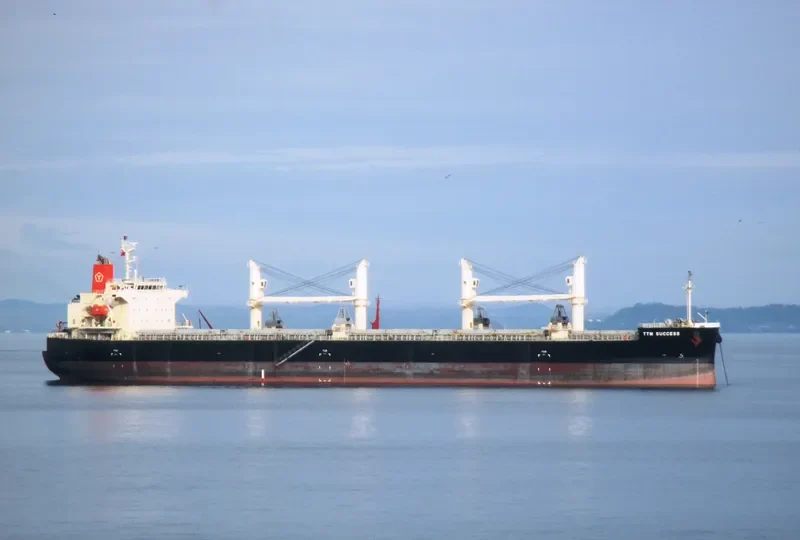 TTM SUCCESS Bulk Carrier IMO 9566655 photo 2