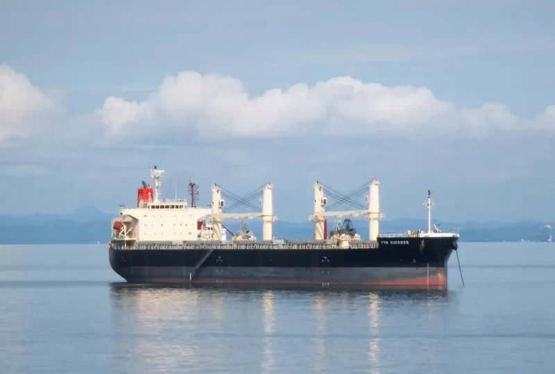 TTM SUCCESS Bulk Carrier IMO 9566655 photo 3