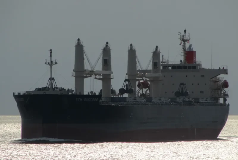 TTM SUCCESS Bulk Carrier IMO 9566655 photo 7