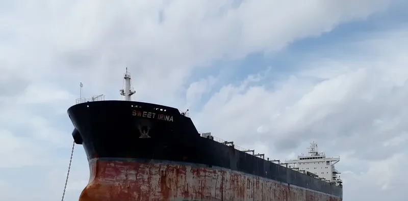SWEET IRINA Bulk Carrier IMO 9566813 photo 3