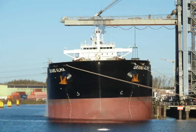 SWEET MELISSA Bulk Carrier IMO 9566825 photo 3