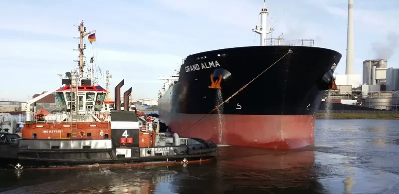 SWEET MELISSA Bulk Carrier IMO 9566825 photo 5