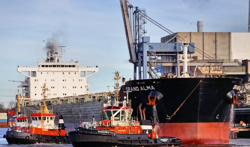 SWEET MELISSA Bulk Carrier IMO 9566825 photo 7