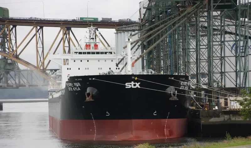 PAN KYLA Bulk Carrier IMO 9566837 photo 2