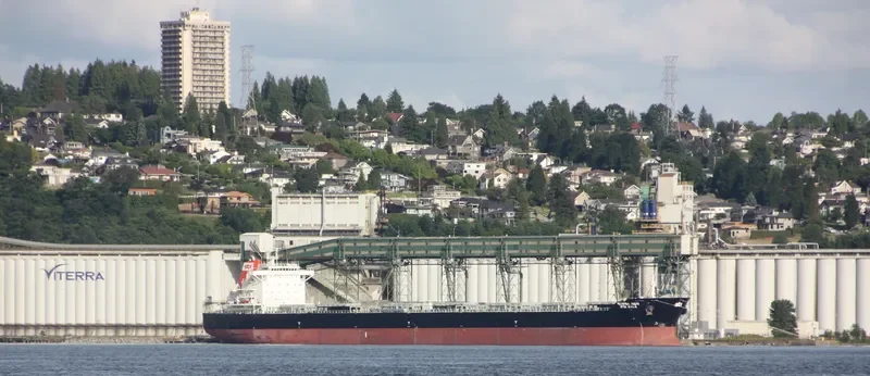 PAN KYLA Bulk Carrier IMO 9566837 photo 4