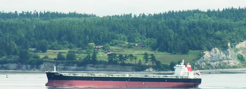 PAN KYLA Bulk Carrier IMO 9566837 photo 5