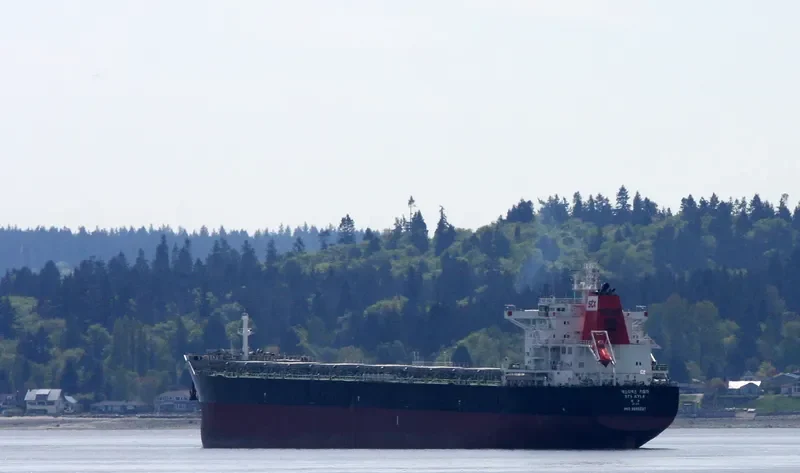 PAN KYLA Bulk Carrier IMO 9566837 photo 6