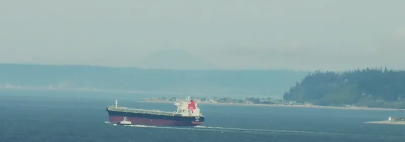 PAN KYLA Bulk Carrier IMO 9566837 photo 7