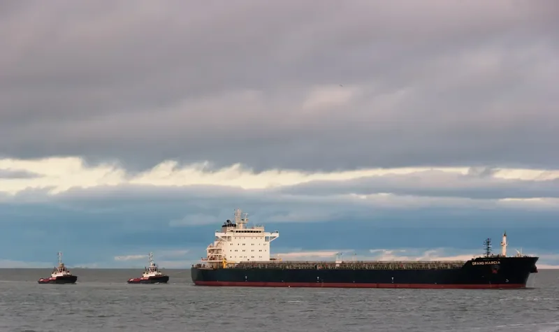 SWEET VENUS Bulk Carrier IMO 9566849 photo 2