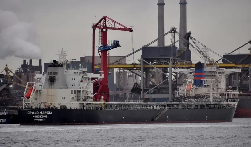 SWEET VENUS Bulk Carrier IMO 9566849 photo 3