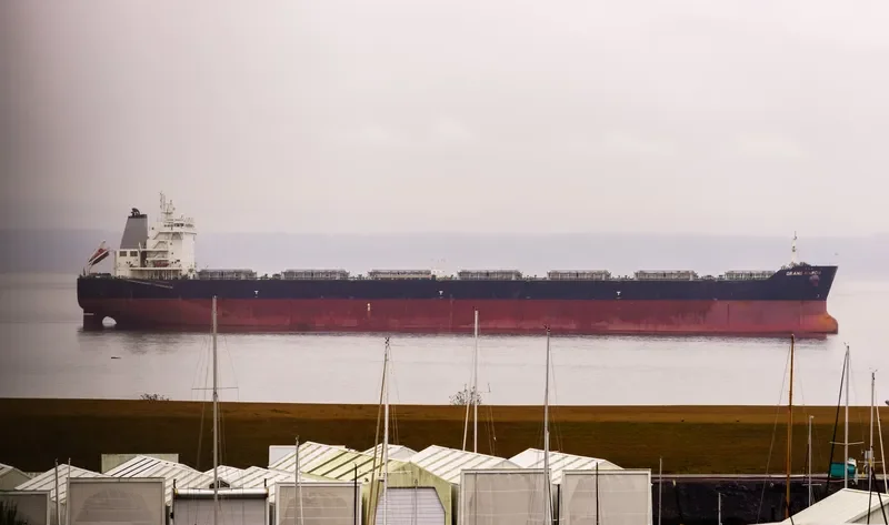 SWEET VENUS Bulk Carrier IMO 9566849 photo 5