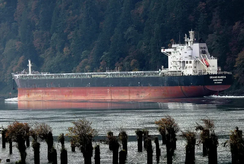 SWEET VENUS Bulk Carrier IMO 9566849 photo 6