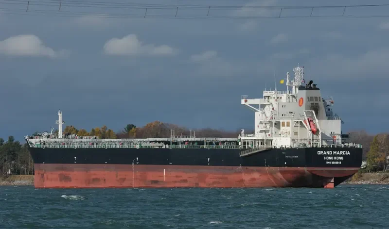 SWEET VENUS Bulk Carrier IMO 9566849 photo 8