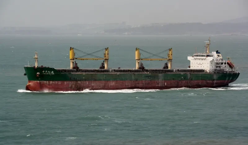 ZHONG CHANG HONG SHENG Bulk Carrier IMO 9566928