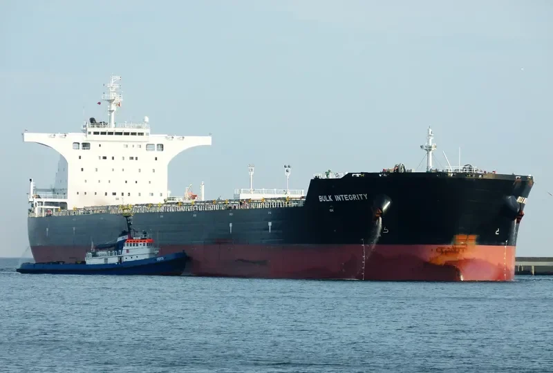 BULK INTEGRITY Bulk Carrier IMO 9566966 photo 8