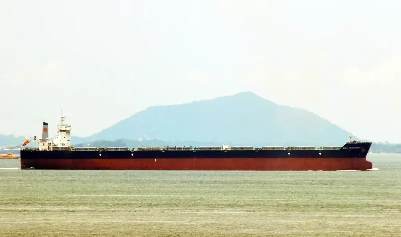 BULK ACHIEVEMENT Bulk Carrier IMO 9566978 photo 2