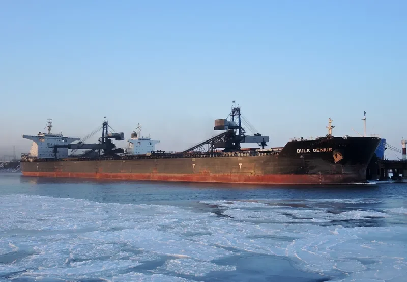 BULK GENIUS Bulk Carrier IMO 9566992 photo 2