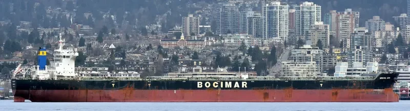 MINERAL HOPE Bulk Carrier IMO 9567025 photo 6