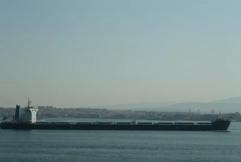 JEWEL Bulk Carrier IMO 9567037 photo 25