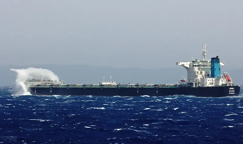 JEWEL Bulk Carrier IMO 9567037 photo 27