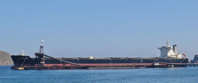BULK HARVEST Bulk Carrier IMO 9567075 photo 3
