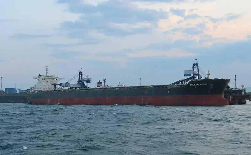 BULK HARVEST Bulk Carrier IMO 9567075 photo 5