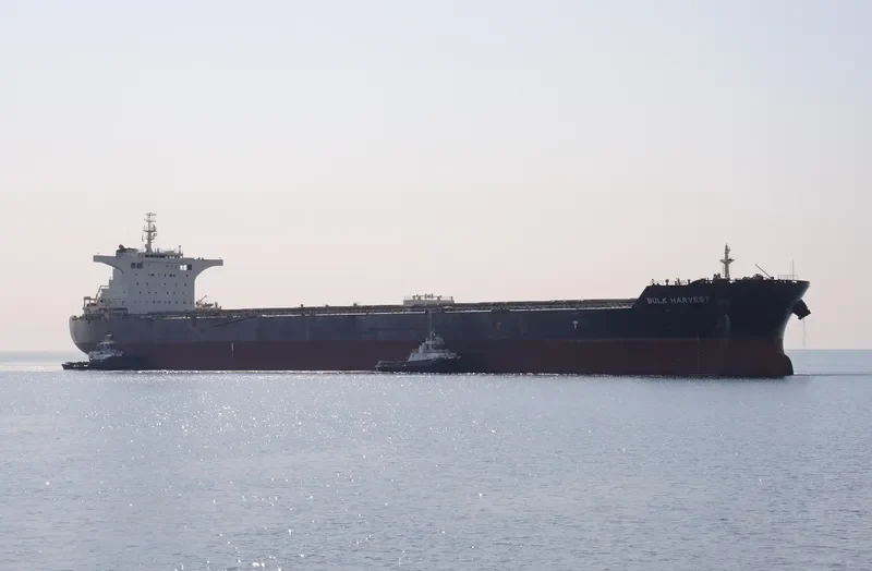 BULK HARVEST Bulk Carrier IMO 9567075 photo 8