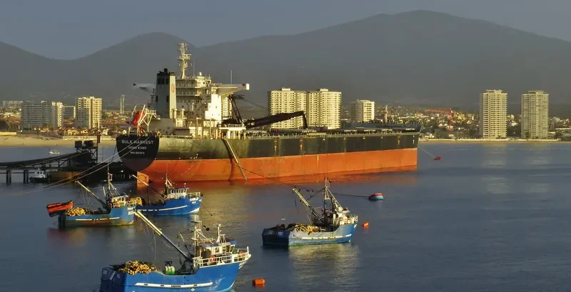 BULK HARVEST Bulk Carrier IMO 9567075 photo 9