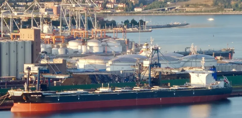 CIC ROLACO Bulk Carrier IMO 9567116 photo 2