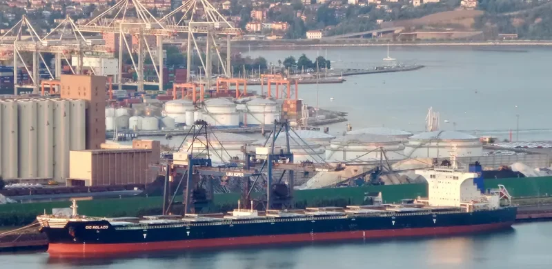 CIC ROLACO Bulk Carrier IMO 9567116 photo 4
