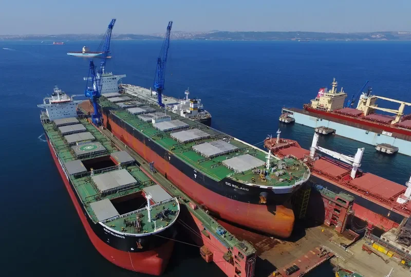 CIC ROLACO Bulk Carrier IMO 9567116 photo 9