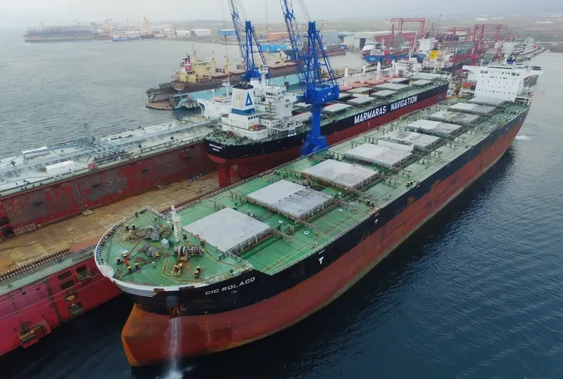 CIC ROLACO Bulk Carrier IMO 9567116 photo 10
