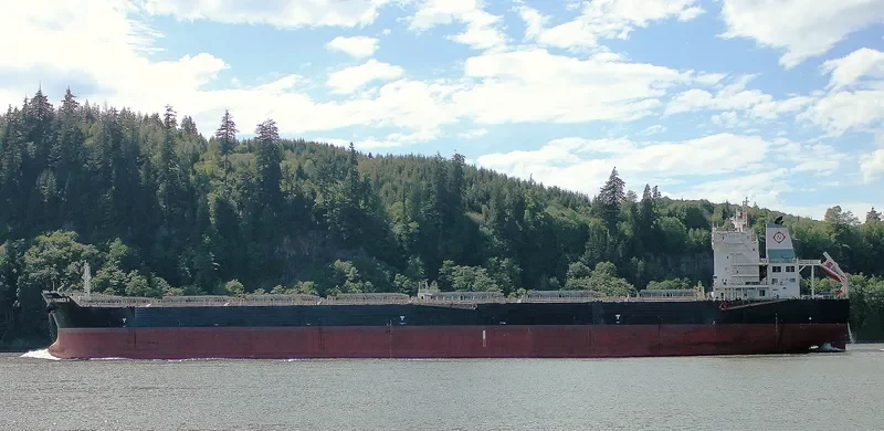 IRENE MADIAS Bulk Carrier IMO 9567154