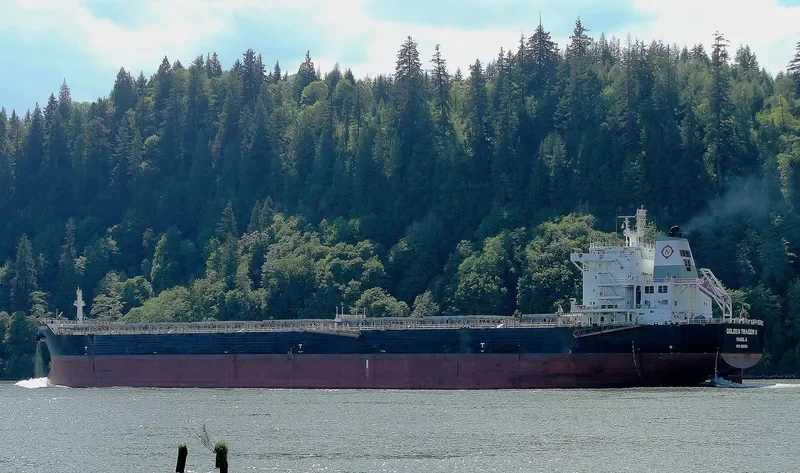 IRENE MADIAS Bulk Carrier IMO 9567154 photo 2