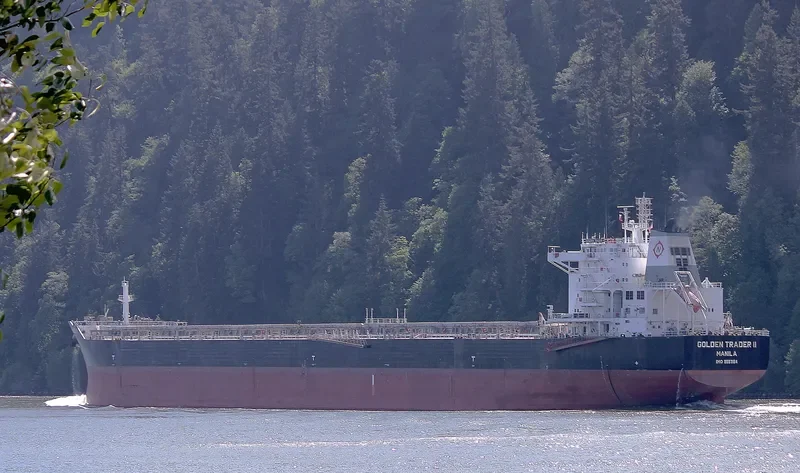 IRENE MADIAS Bulk Carrier IMO 9567154 photo 3