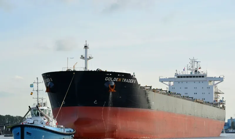 IRENE MADIAS Bulk Carrier IMO 9567154 photo 4