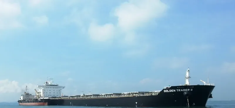 IRENE MADIAS Bulk Carrier IMO 9567154 photo 7