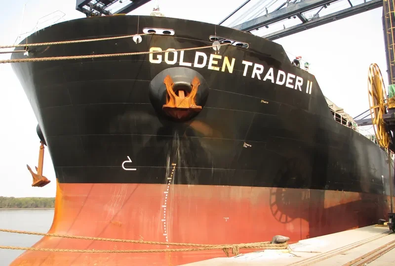 IRENE MADIAS Bulk Carrier IMO 9567154 photo 8