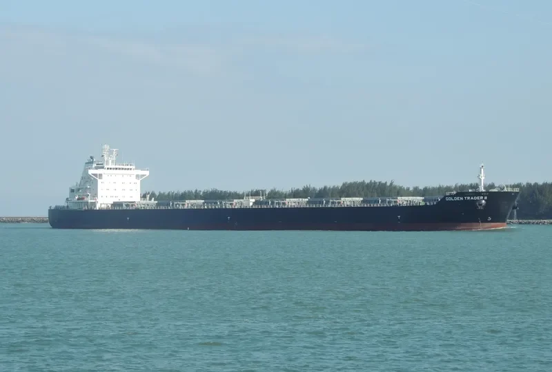 IRENE MADIAS Bulk Carrier IMO 9567154 photo 9