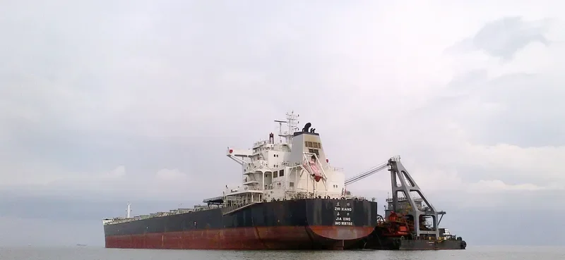 ZHI XIANG Bulk Carrier IMO 9567192 photo 2