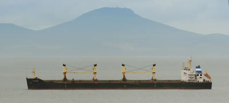 THASSOS Bulk Carrier IMO 9567233 photo 5