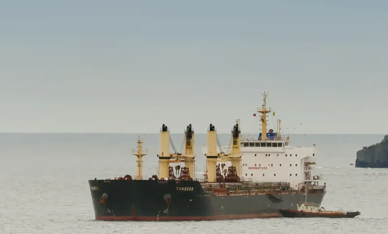 THASSOS Bulk Carrier IMO 9567233 photo 8