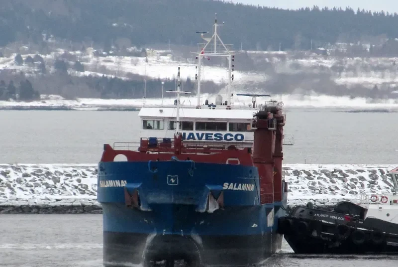 SALAMINA 1 Container Ship IMO 9567245 photo 2