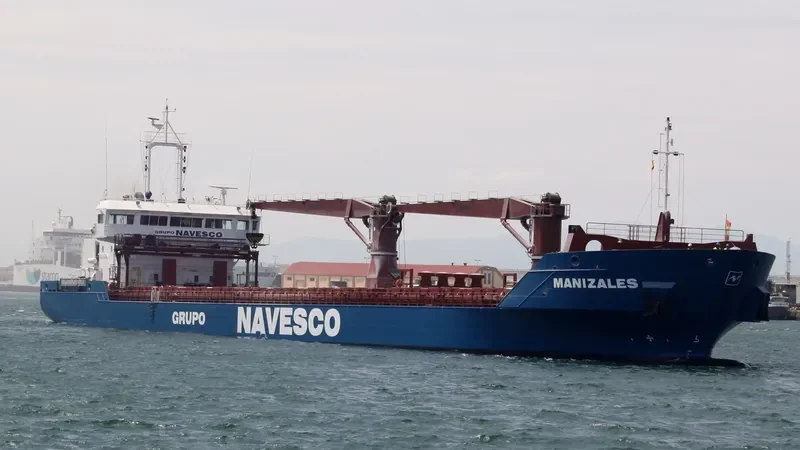 MANIZALES Container Ship IMO 9567257 photo 7