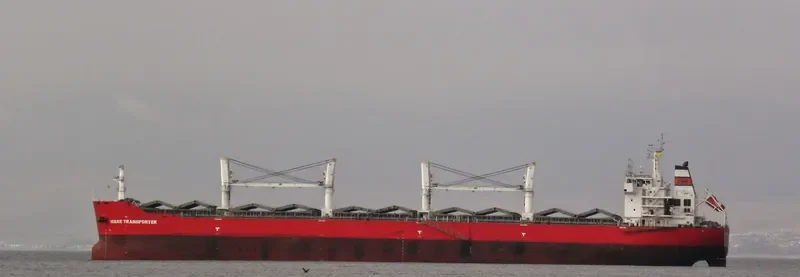 ZHONG CHANG 538 Bulk Carrier IMO 9567403 photo 2
