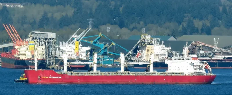 ZHONG CHANG 538 Bulk Carrier IMO 9567403 photo 5