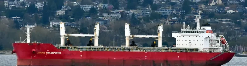 ZHONG CHANG 538 Bulk Carrier IMO 9567403 photo 8
