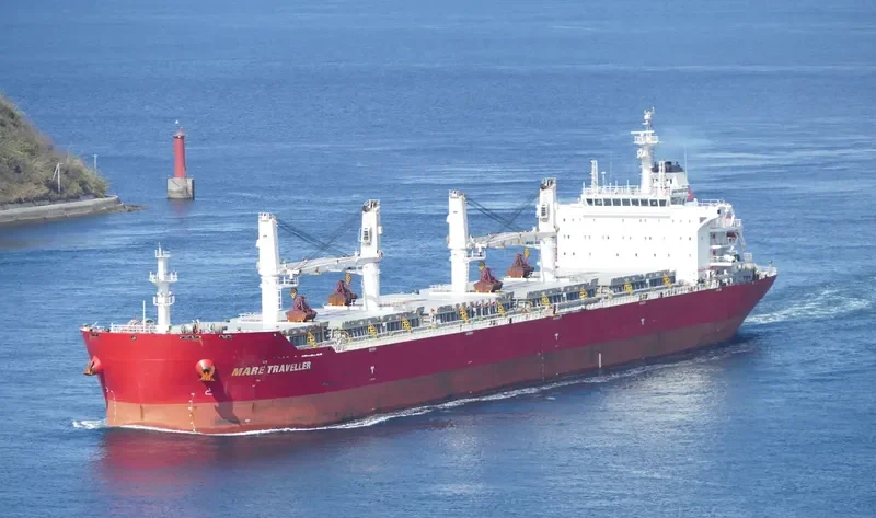 E TRAVELLER Bulk Carrier IMO 9567427