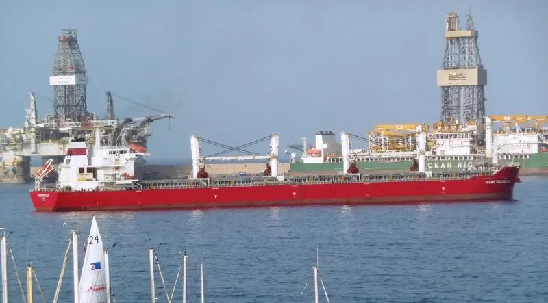 E TRAVELLER Bulk Carrier IMO 9567427 photo 3