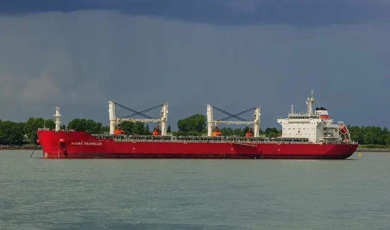 E TRAVELLER Bulk Carrier IMO 9567427 photo 7